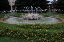 Click here to view the photos available in this gallery.